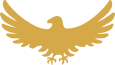 Eagle Icon